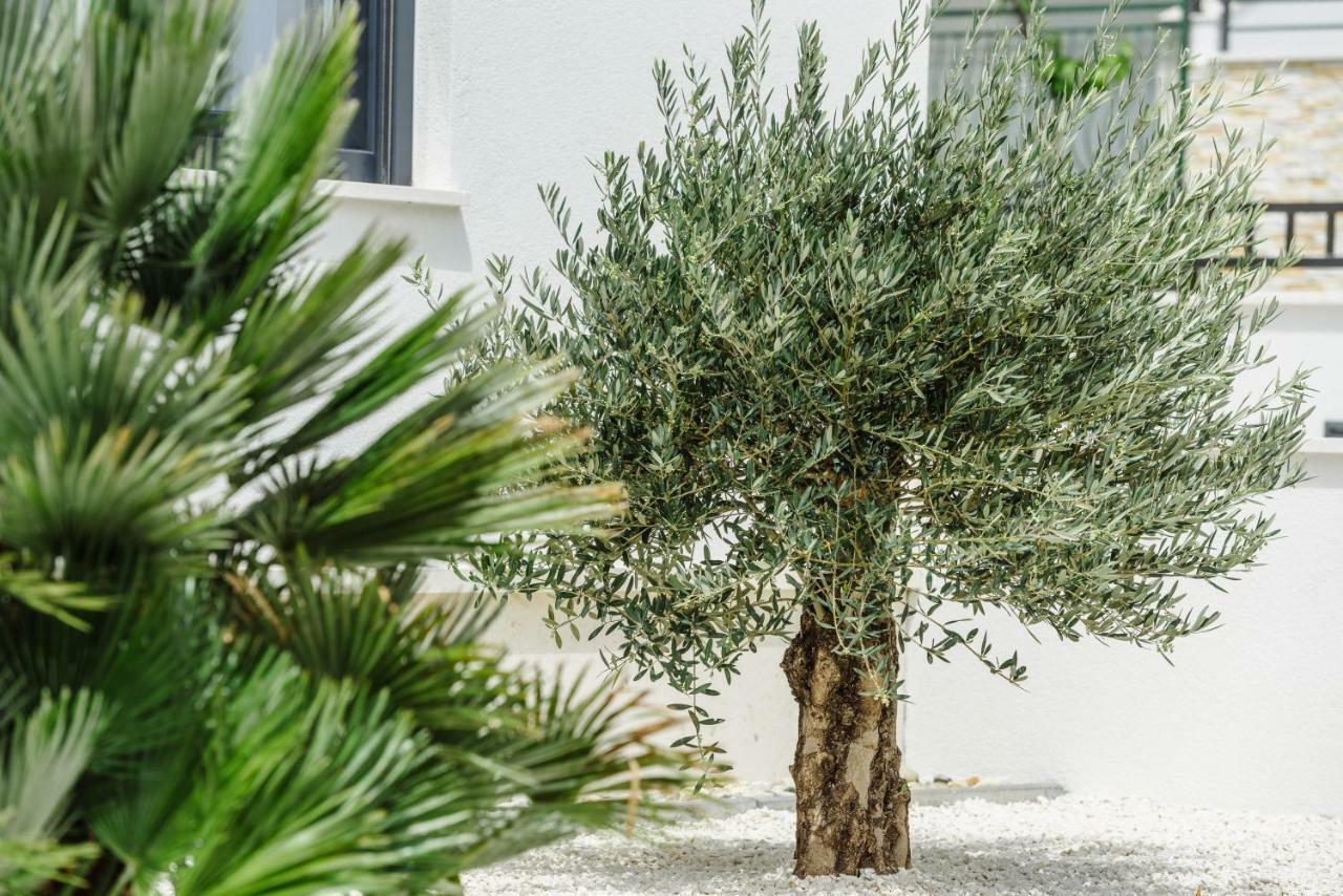 Apartments Villa Dalmatia Trogir Eksteriør billede