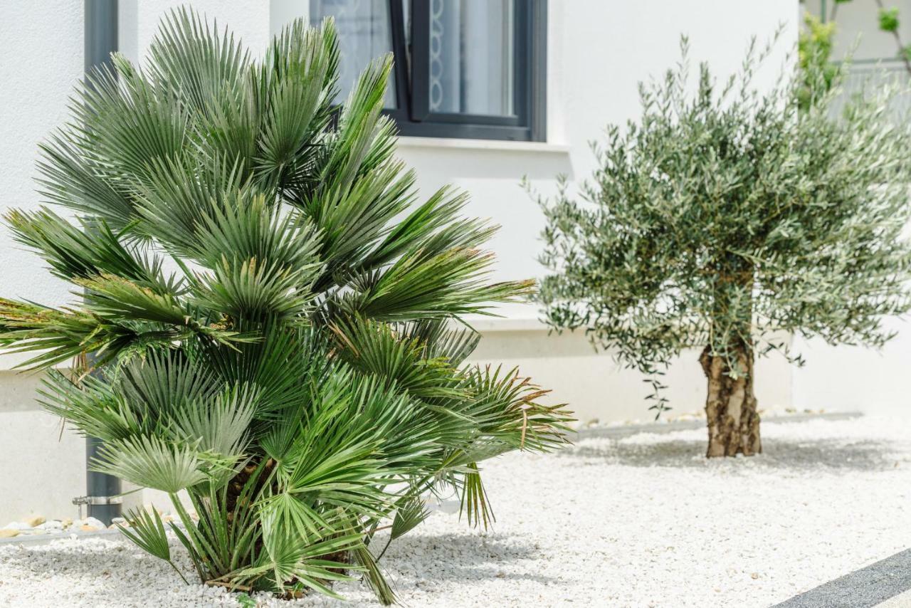 Apartments Villa Dalmatia Trogir Eksteriør billede